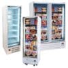 cheap Upright display freezer